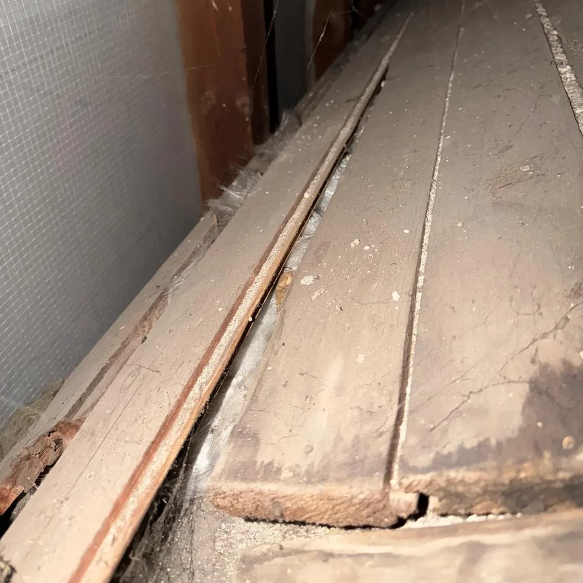 Alte Dämmung zwischen den Dielen eines Dachbodens